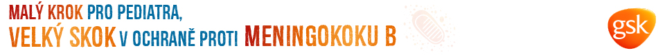 Webinář